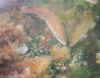 01.jpg (87193 byte)
