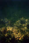 03.jpg (43784 byte)