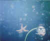 03.jpg (36076 byte)