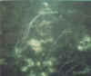 05.jpg (34718 byte)