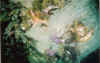 07.jpg (44090 byte)