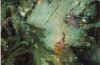 09.jpg (56026 byte)