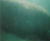 11.jpg (27339 byte)