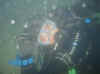 01.jpg (34365 byte)