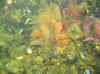 07.jpg (73821 byte)