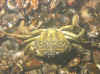 11.jpg (80823 byte)