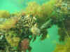 12.jpg (73582 byte)