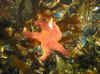 14.jpg (87391 byte)