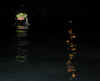 02.jpg (32095 byte)