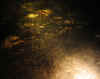 03.jpg (52573 byte)