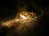 05.jpg (40992 byte)