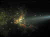 08.jpg (47466 byte)