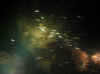 09.jpg (42917 byte)