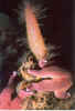 02.jpg (91194 byte)