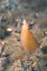 04.jpg (72121 byte)