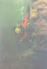 10.jpg (64611 byte)