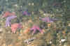 11.jpg (51503 byte)