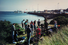 Der er mange dykkere ved kronborg bugten