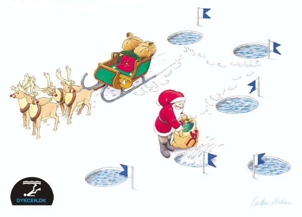 Glædelig jul og Godt nyt Dykår 2010