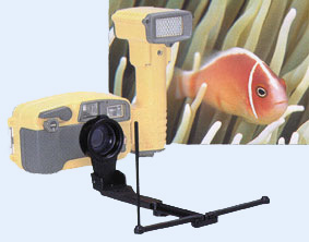 Eksempel p et billede du kun kan tage med macro