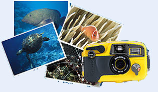 Efterlad kun bobler og tag kun minder (og billeder) med op